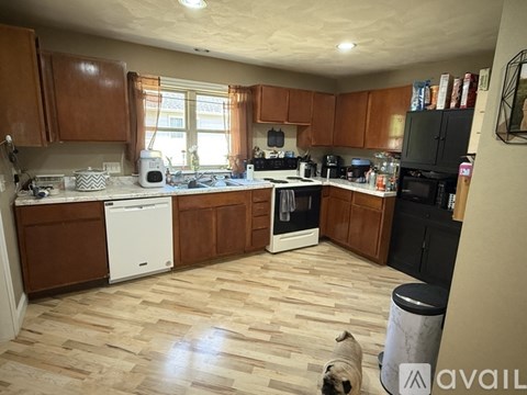 A kitchen with wooden cabinets and a pug dog.