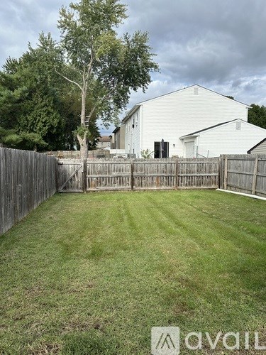 A backyard with a fence and a tree.