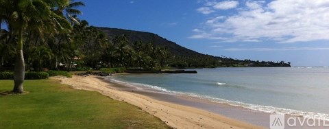 A beach with palm trees and a mountain in the background.