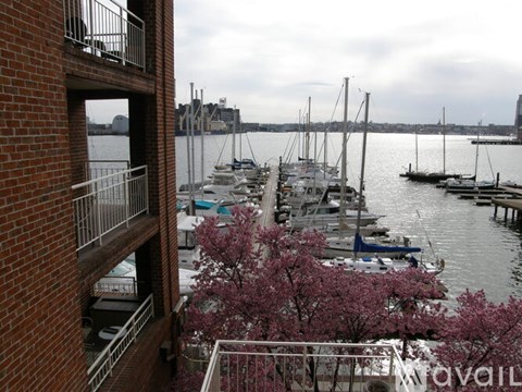 960 Fell St 1 Apartment for Rent