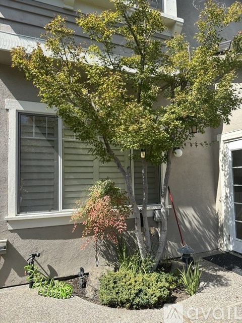 335 Sutton Circle 4 Beds Apartment for Rent