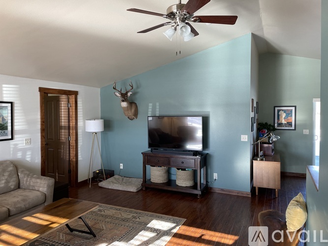 A living room with a television and a rug on the floor.