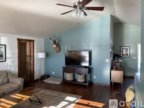 A living room with a television and a rug on the floor.