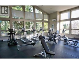 A gym with treadmills, elliptical machines, and other exercise equipment.