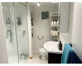 A bathroom with a white sink, toilet, and a glass shower door.