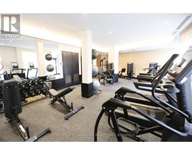 A gym with treadmills, weights, and exercise equipment.