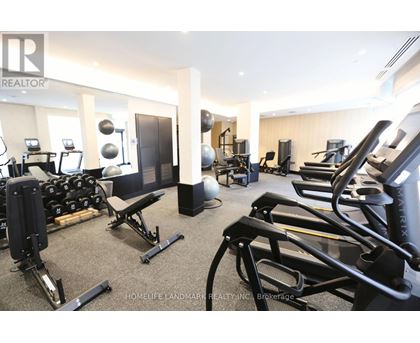 A gym with treadmills, weights, and exercise equipment.