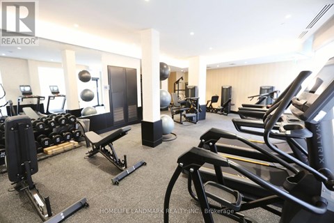 A gym with treadmills, weights, and exercise equipment.