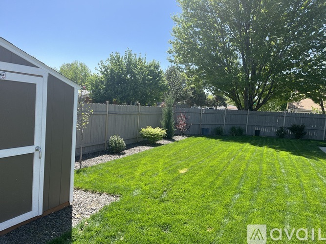 A backyard with a shed and a fence.