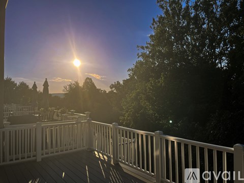 A wooden deck with a railing and trees in the background during sunset.