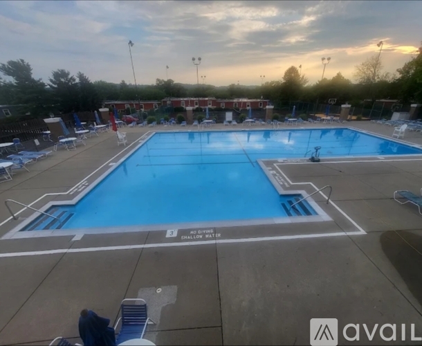 A large outdoor swimming pool with a no dive sign.