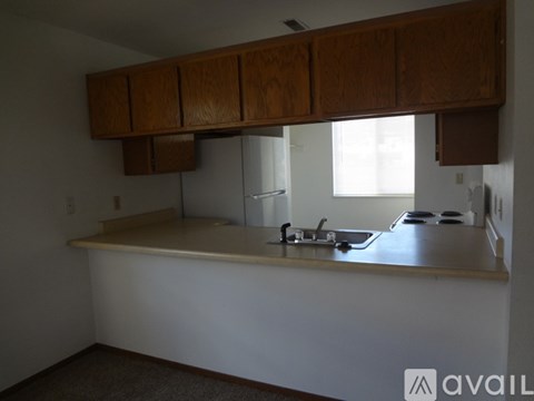 A kitchen with wooden cabinets and a countertop.