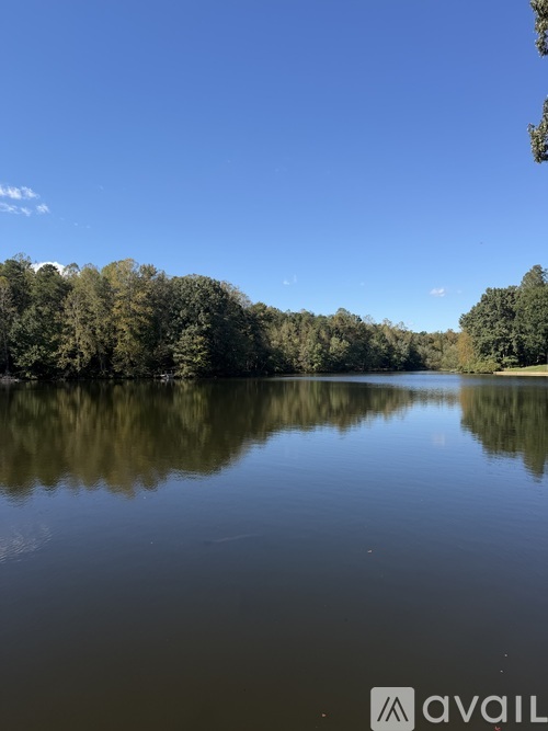 A serene lake surrounded by lush green trees under a clear blue sky.
