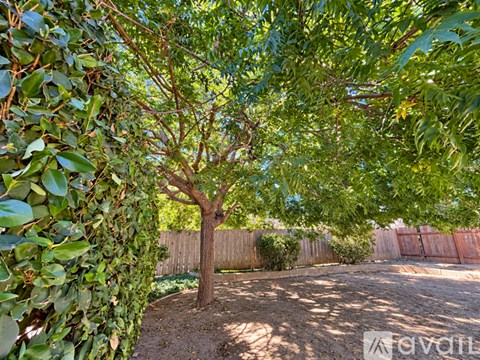 3161 Laurashawn Ln 4 Beds Apartment for Rent
