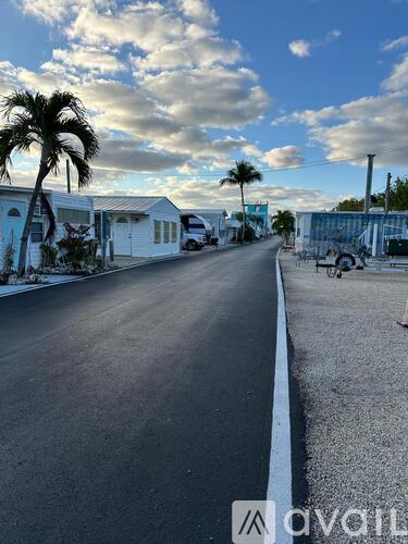 A street with houses on one side and palm trees on the other.