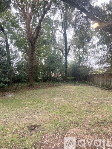 A backyard with a fence and trees.