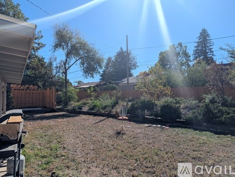 A backyard with a fence, trees, and a clear sky.