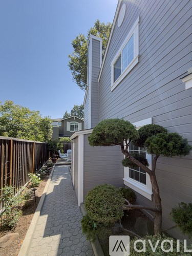 A tree in a pot sits on a patio in front of a grey house.