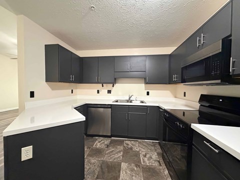 A kitchen with black cabinets and appliances.