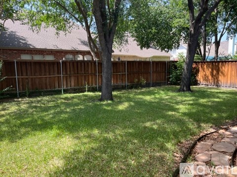 A backyard with a wooden fence and a tree.
