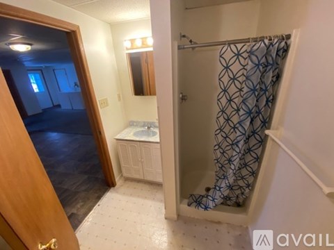 A bathroom with a shower and a sink.