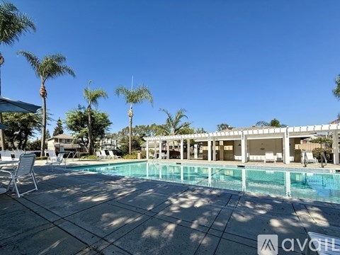 A pool surrounded by palm trees and sun loungers.
