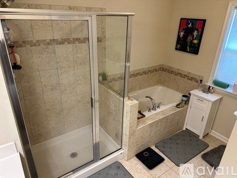 A bathroom with a walk-in shower and a bathtub.