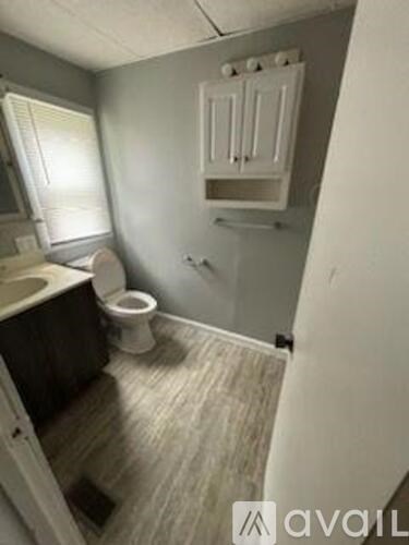 A bathroom with a toilet, sink, and wooden flooring.