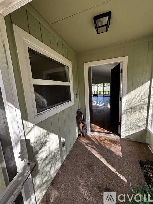 A dog is standing in the doorway of a house.