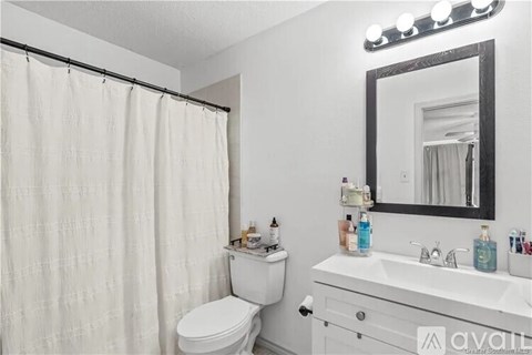 A bathroom with a white toilet, sink, and shower curtain.
