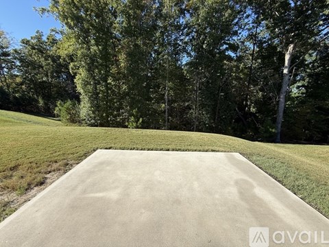 A concrete slab in the foreground with trees in the background.