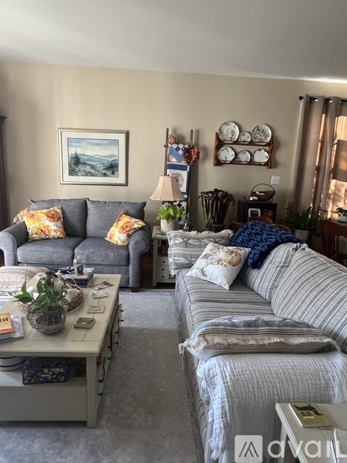 A living room with a grey couch and a coffee table with a plant on it.