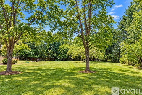 A grassy field with trees in the background and a fence in the distance.