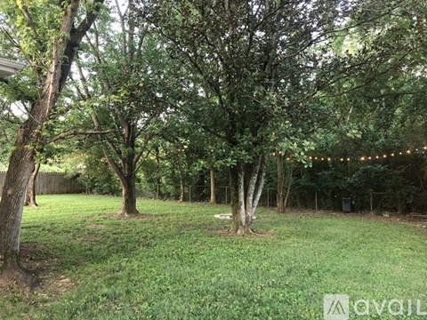 A backyard with trees and a fence.