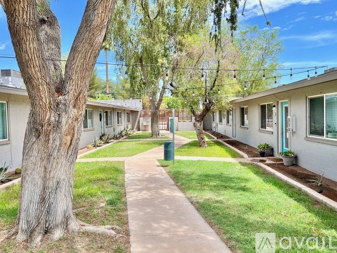 A tree in front of a house with a walkway in between.