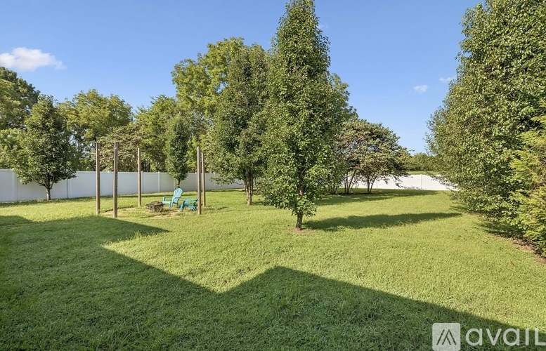 A backyard with a lawn, trees, and a swing set.