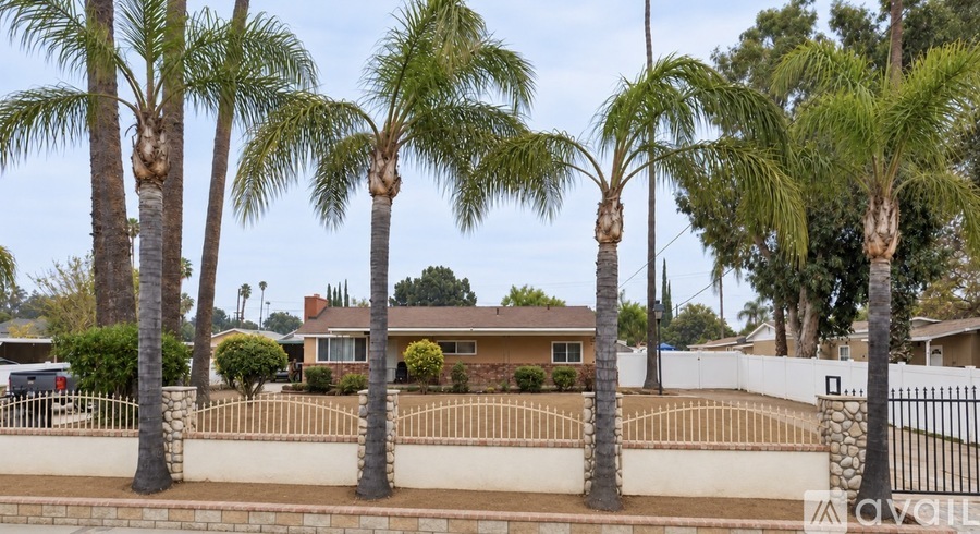 Palm trees in front of a house.