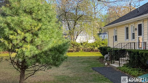 A pine tree is in the foreground of a grassy area with a house in the background.