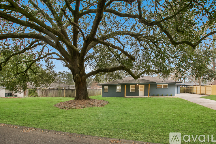 A tree in a yard in front of a house.