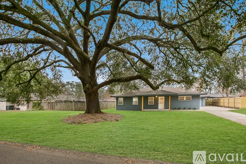 A tree in a yard in front of a house.