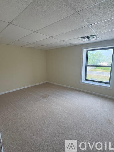 A room with a window and a carpeted floor.
