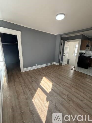 A room with wooden flooring and a white ceiling light.