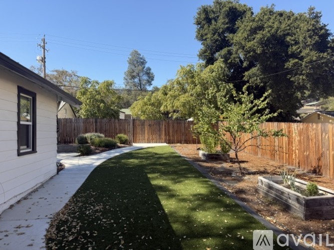 A backyard with a wooden fence and a small tree.