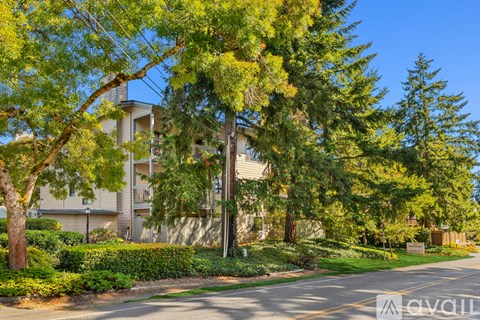 A tree with green leaves is in front of a building.