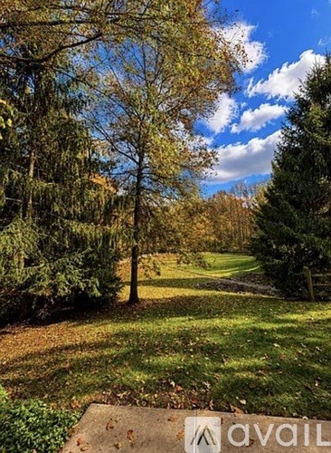 A pathway leads through a grassy area with trees on either side.