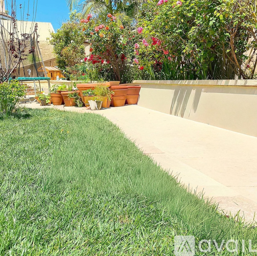 1252 Stagecoach Trail Loop 3 Beds Single Family Home for Rent - Photo gallery 4