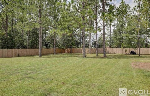 A grassy field with trees and a fence in the background.