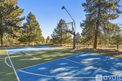 20557 Rusticate Road 4 Beds Apartment for Rent