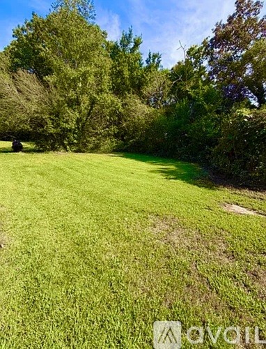 A grassy field with trees in the background.