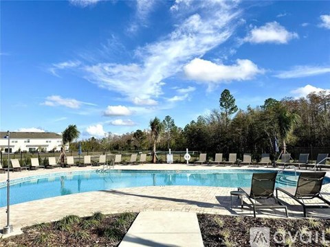 A pool surrounded by chairs and trees under a blue sky.